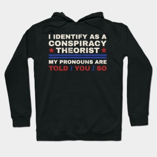 I identify as a conspiracy theorist - classic grunge Hoodie